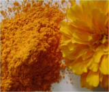 Natural Yellow Color Lutein Ester